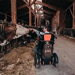 شقة Zauscherhof *