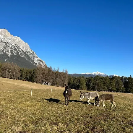 Zauscherhof *