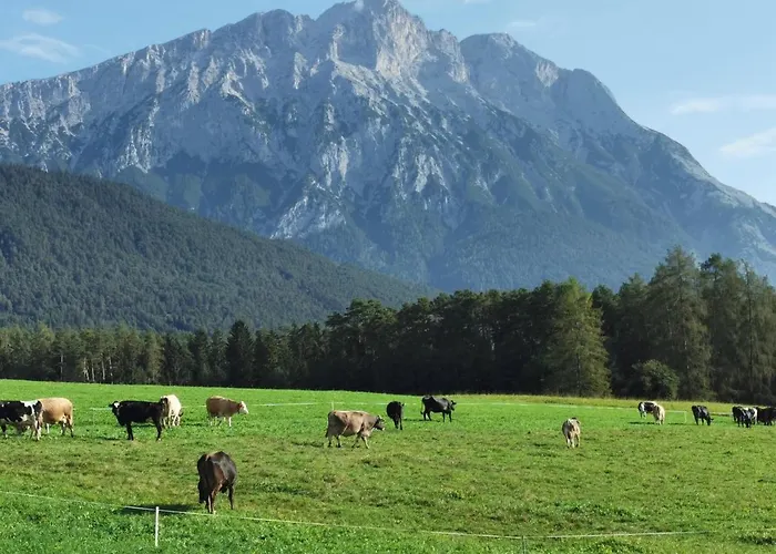 Apartman Zauscherhof