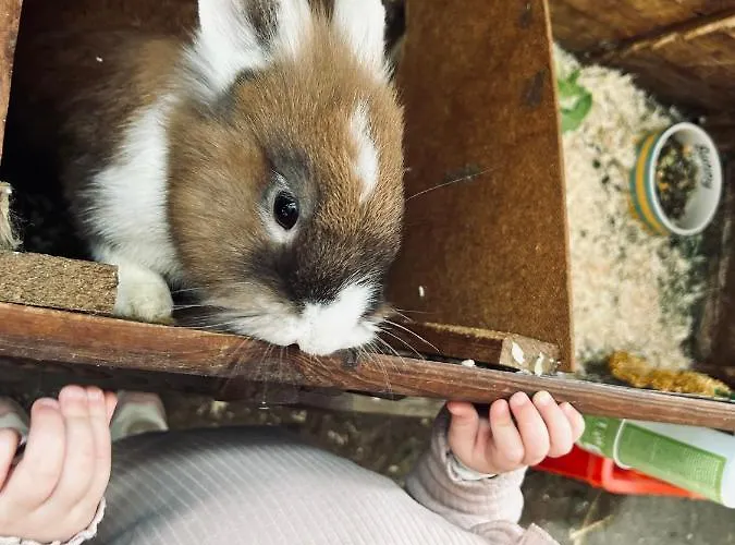 Zauscherhof * Wildermieming