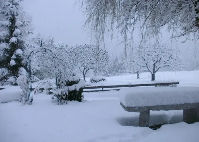 Zauscherhof Apartman Wildermieming