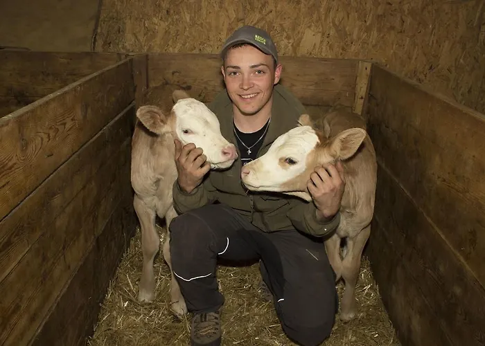 Zauscherhof Apartman *