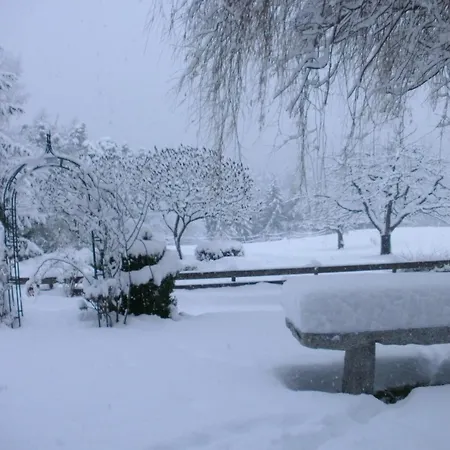 Zauscherhof דירה Wildermieming