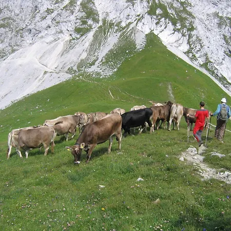 דירה Zauscherhof Wildermieming