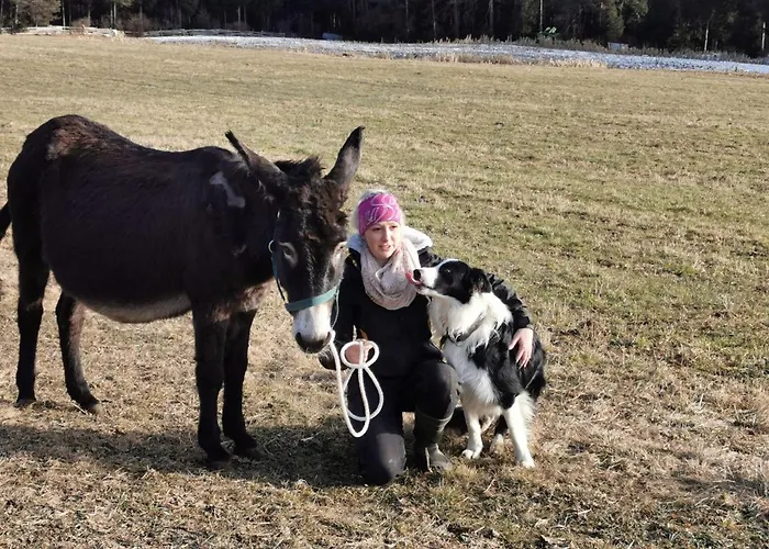 דירה Zauscherhof Wildermieming