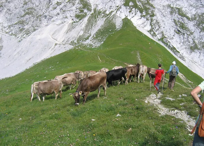 דירה Zauscherhof Wildermieming
