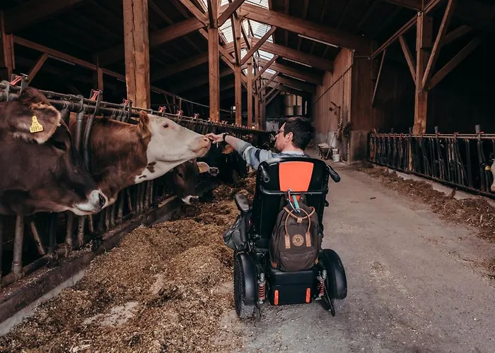 Apartmán Zauscherhof *